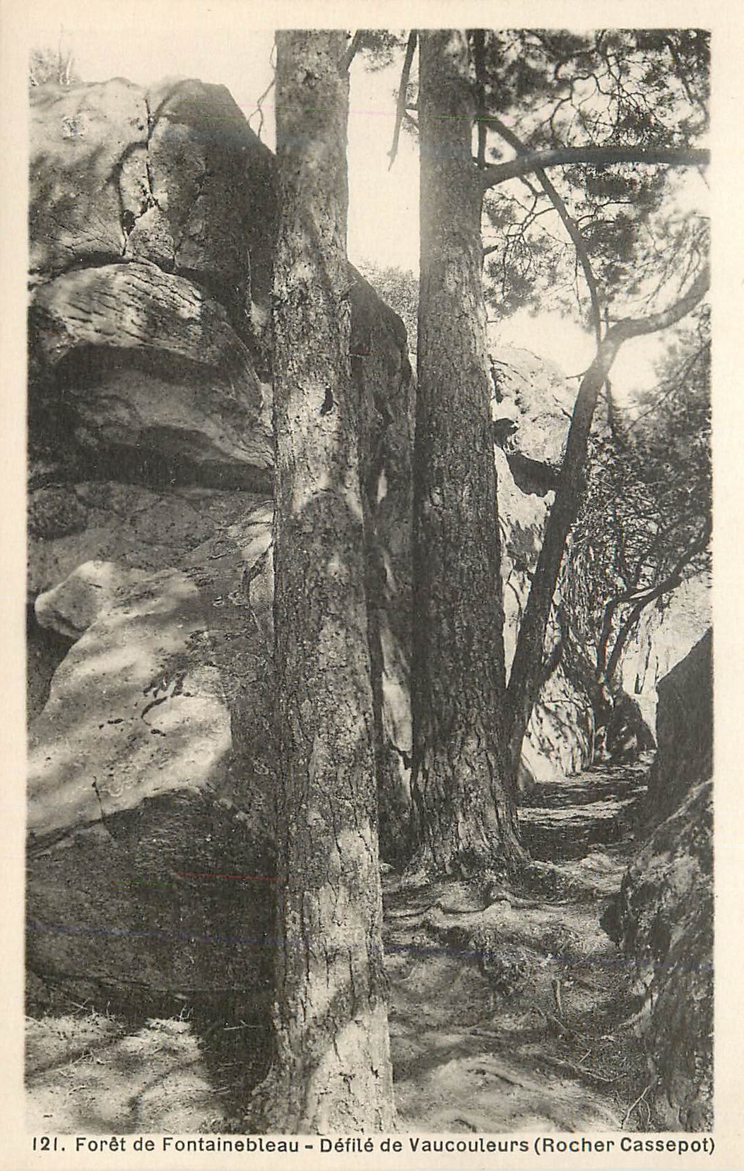 Foresta di Fontainebleau — Passo di Vaucouleurs (Rocher Cassepot) — n° 121